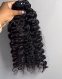 Luxury Burmese Curly