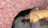 HD Lace Closure